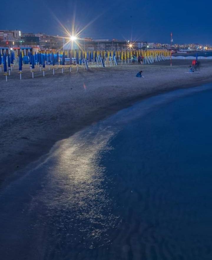 Rome Sea Apartment ลิโด ดิ ออสเตีย ภายนอก รูปภาพ